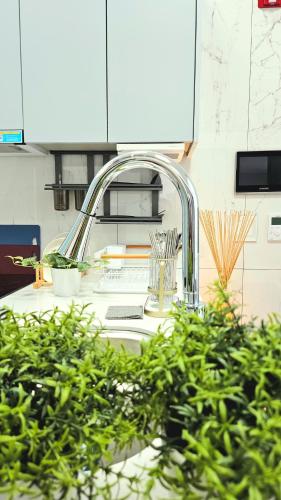 a kitchen sink with a faucet and some plants at Majestic Seoul Stay Central in Seoul