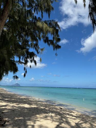 Aquamarine Beachfront Apartment