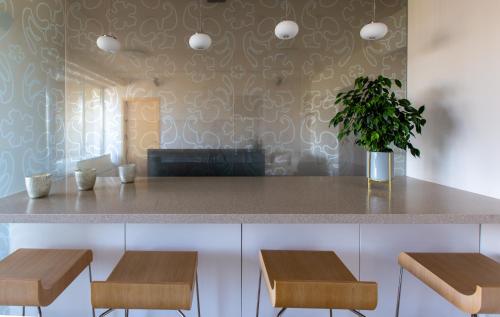 a kitchen with a counter with a potted plant at DRUSKININKŲ PANORAMA Apartamentai in Druskininkai