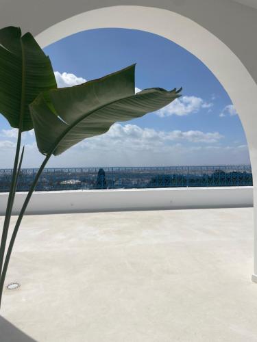 Dar Kbira - Sidi Bou Said