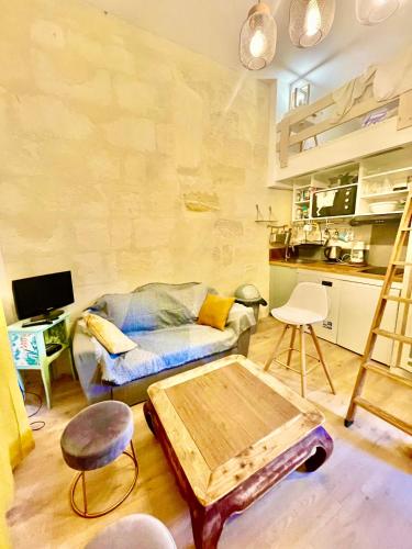 un salon avec un canapé et une table dans l'établissement proche kedge et universitée appartement cosy avec parking ,cuisine équipée ,sdb et jardin, à Talence