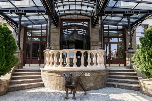 a dog standing in front of a building at Hotel Erdeli by Derenivska Kupil in Nyzhne Solotvyno