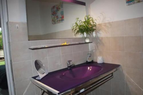 a bathroom with a purple sink and a mirror at Studio confortable à La Trinité 30 m² avec vue mer et jardin in La Trinité