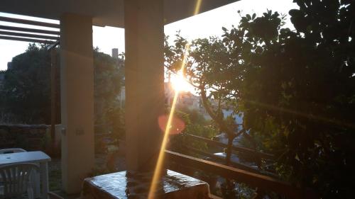 a sun shining through a tree on a patio at Su Sole in Posada