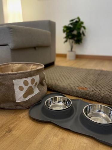 Dos cuencos para perros en una bandeja en el suelo. en Lucus Urban Centre, en Lugo