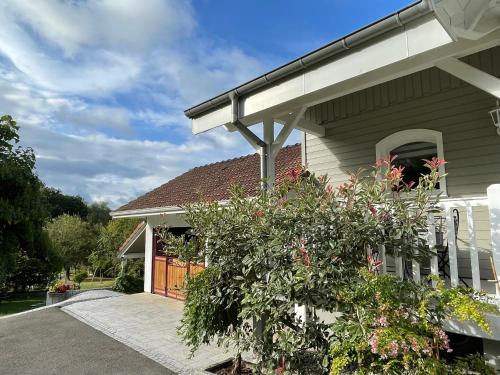 a house with a tree in front of it at TULIPES Et CETERA in Waldighofen