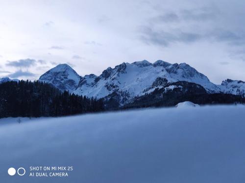 a snow covered mountain range in front of a snow covered field at Buttermilchalm in Sankt Martin am Tennengebirge