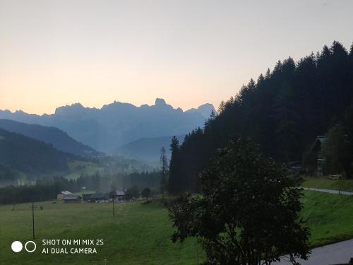 a green field with trees and mountains in the background at Buttermilchalm in Sankt Martin am Tennengebirge