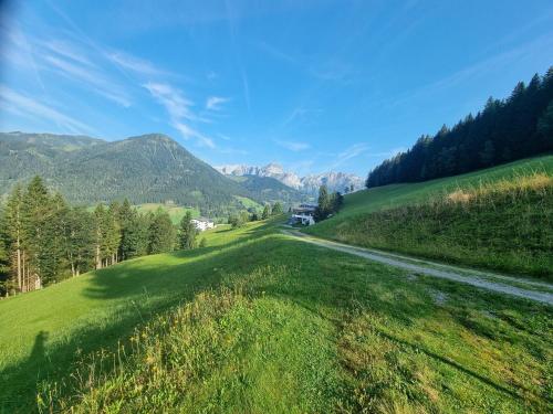 a road in a field with mountains in the background at Buttermilchalm in Sankt Martin am Tennengebirge