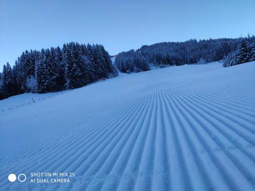 a field of snow with trees in the background at Buttermilchalm in Sankt Martin am Tennengebirge