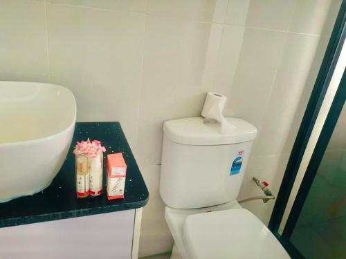 a bathroom with a white toilet and a sink at Ida Homes in Suva