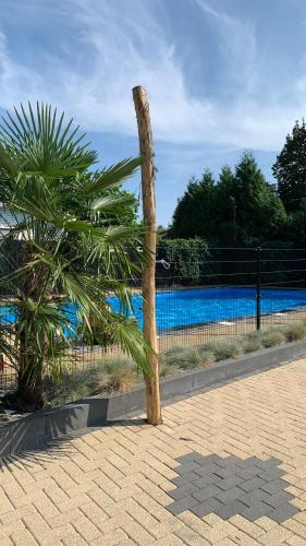 a palm tree sitting next to a fence next to a pool at Chalet Aan de rand - Veluwe - met sauna in Putten