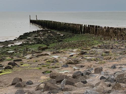 a beach with rocks and a pier in the water at De Logeerkamer Gapinge in Gapinge