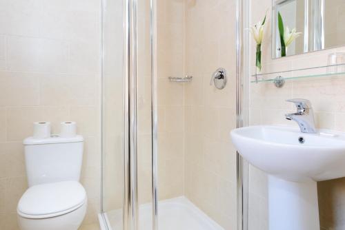 a bathroom with a shower and a toilet and a sink at Dan Linehans Bar and B&B in Killarney