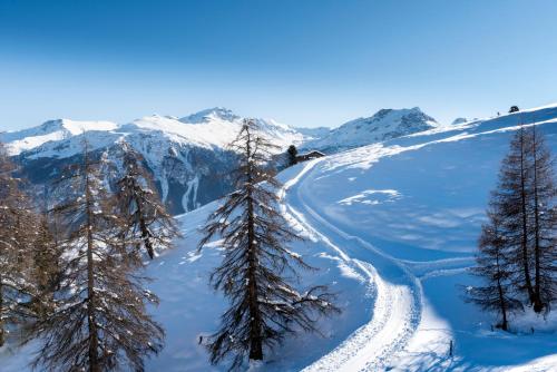 a snow covered slope with trees and snow covered mountains at Appart Hotel Pitschonia Self Check-In in Andeer