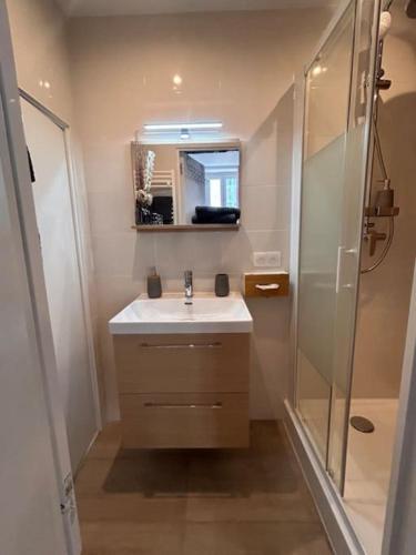 une salle de bain avec un lavabo et une douche dans l'établissement Studio climatisé Bohème Chic, à Villefranche-sur-Mer