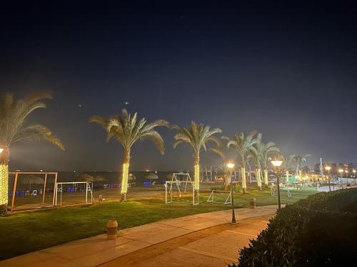 a park with palm trees at night with lights at العين السخنة palm beach resort شاليه عائلات فقط in Ain Sokhna