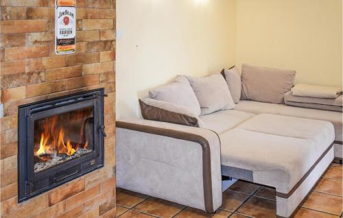 a living room with a couch and a fireplace at Nice Apartment In Rydzewo With Wifi in Rydzewo
