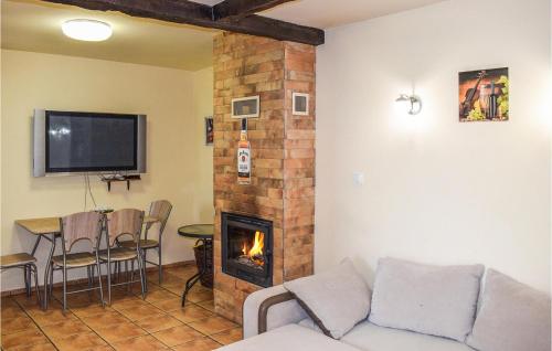 a living room with a couch and a fireplace at Nice Apartment In Rydzewo With Wifi in Rydzewo