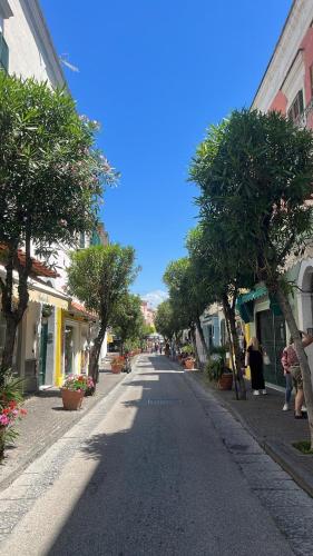 a street in a town with trees and buildings at Ammore Ammare Apartment in Ischia