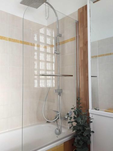 une douche dans une salle de bain avec une pomme de douche dans l'établissement Studio 20 minutes Châtelet, à Gentilly