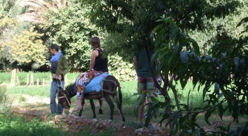 Huéspedes de Palmeraie Guest House