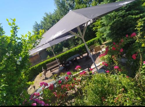 Κήπος έξω από το Hotel Neue Krone - Markt Erlbach