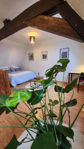 Cette chambre comprend un lit et une plante verte. dans l'établissement Grand Duplex du Beffroi, à Douai