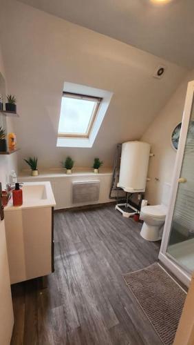 une salle de bain avec un lavabo et des toilettes et une fenêtre dans l'établissement Grand Duplex du Beffroi, à Douai
