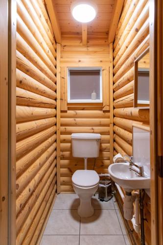 un baño con inodoro y lavabo en Quail Lodge - Nordic Log Cabin, en Selby