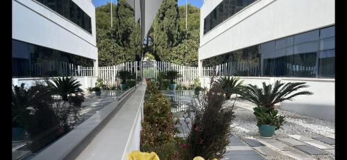 Κήπος έξω από το Ancla Real Apartamentos Loft