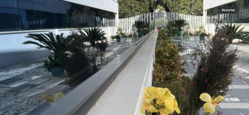 Κήπος έξω από το Ancla Real Apartamentos Loft