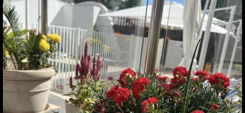 Κήπος έξω από το Ancla Real Apartamentos Loft