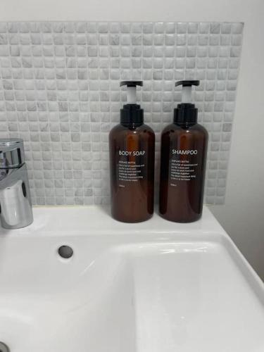 - deux bouteilles de savon assises sur un lavabo dans l'établissement Le Pardigon -Fibre-Climatisation, à Marseille