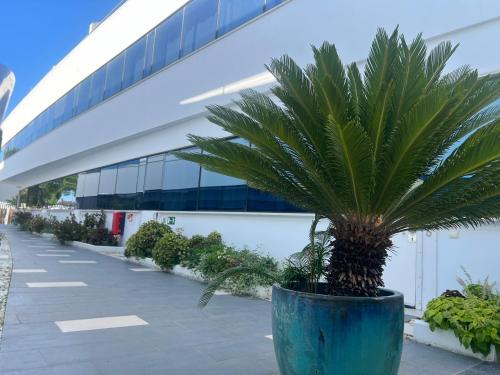 Κήπος έξω από το Ancla Real Apartamentos Loft