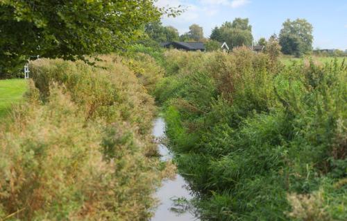 a stream in the middle of a field with tall grass at 4 Bedroom Nice Home In Gilleleje in Gilleleje