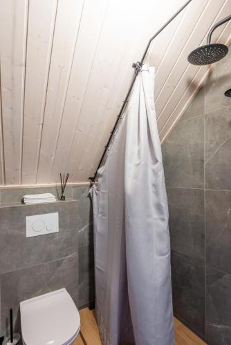 a bathroom with a toilet and a shower at Namelis ant ežero kranto "Giliaus Elingas" in Tytuvėnai