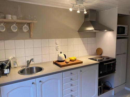 a kitchen with a sink and a counter top at Björnamåla stuga in Asarum