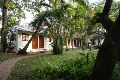 Un jardín fuera de Alfred Place
