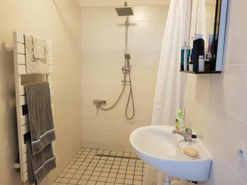 un bagno con lavandino e doccia di Lake Cottage, In A Small Village a Caurel