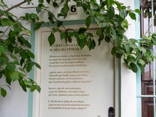 a sign on the side of a building with a plant at Bhost - Palacete del Águila in Córdoba