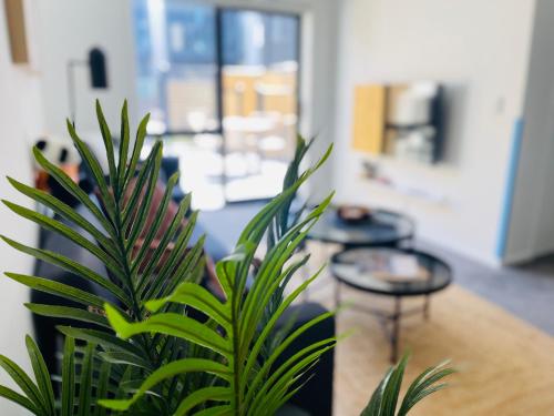 a green plant in a room with tables and chairs at 4 Minutes walk to Riverside Market!4bed 4 bath in Christchurch