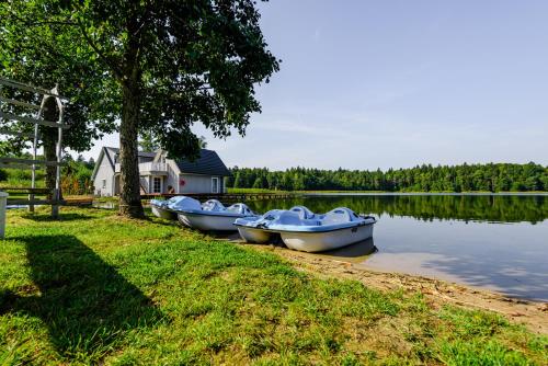 a row of boats parked on the shore of a lake at Namelis ant vandens "Giliaus namelis" in Tytuvėnai