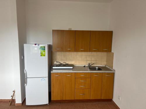 Kuchyň nebo kuchyňský kout v ubytování Apartment City Centre Znojmo