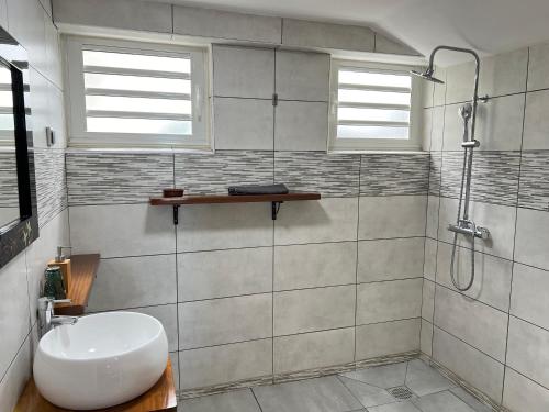 a bathroom with a sink and a shower at La Tanguière - Studios 3 étoiles in Saint-Leu