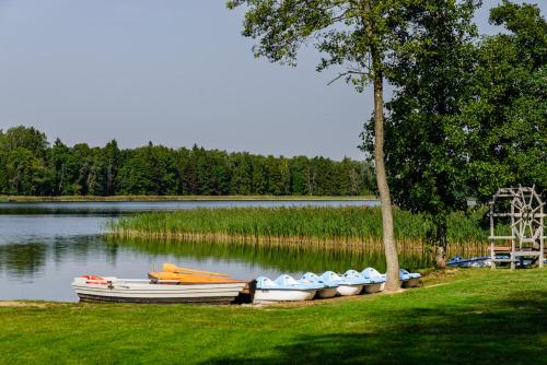 three boats sitting on the shore of a lake at Namas su vaizdu į ežerą "Giliaus Nendrė" in Tytuvėnai