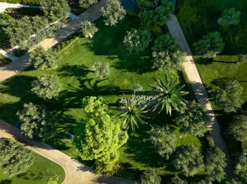 an overhead view of a park with palm trees at Ikos Olivia in Gerakini