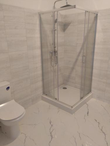 a bathroom with a shower and a toilet at Apartamenty Nogalin in Józefów