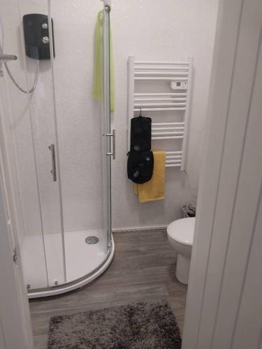 a bathroom with a shower and a toilet with a towel at Rivers in Bromley