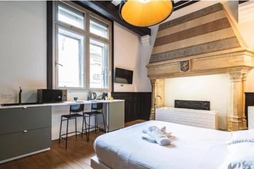 une chambre avec un lit et un bureau dans une pièce dans l'établissement Fire, Appartement vue Cathédrale, à Reims